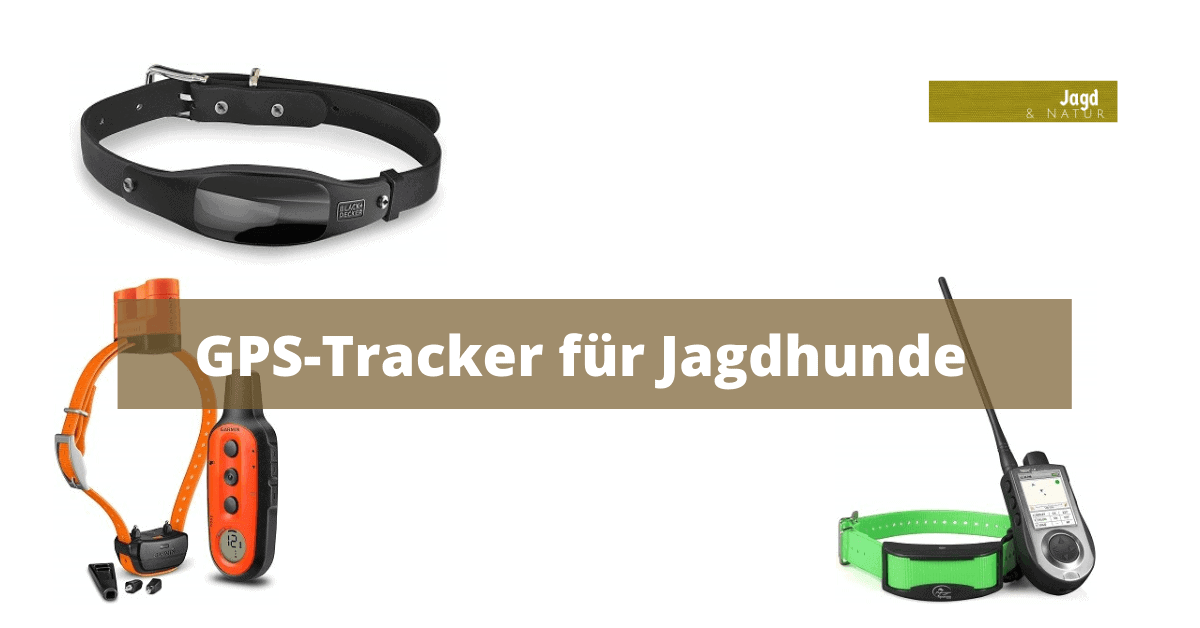 GPSTracker für Jagdhund Test 2020 Hundeortungssysteme Jagd und Natur